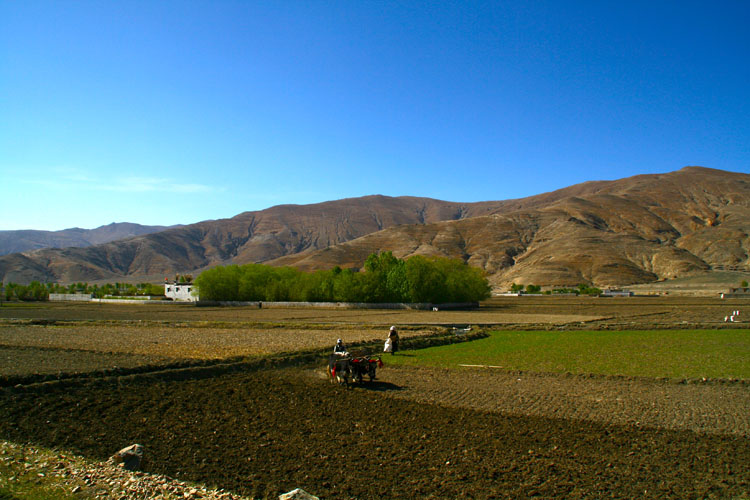 Tingri Landscape
