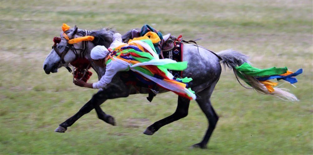 Yushu horse racing festival