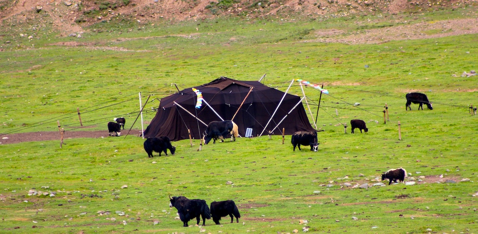 Litang county