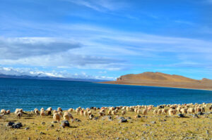Namtso Lake