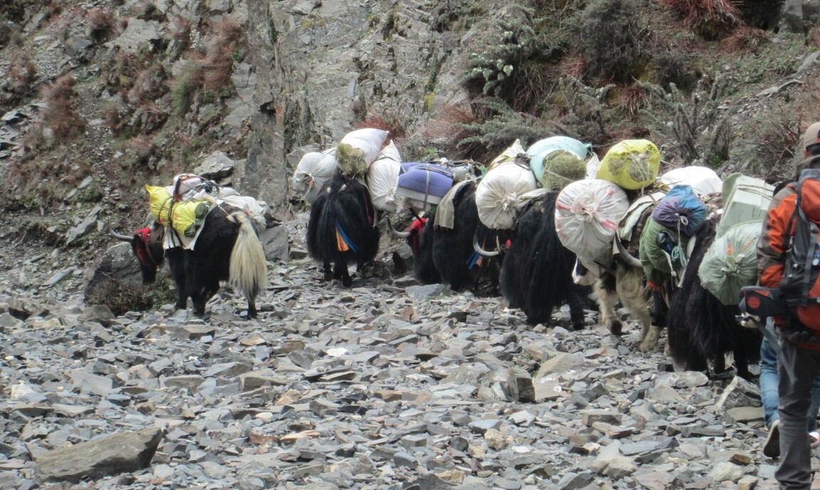 Tibet trekking tour
