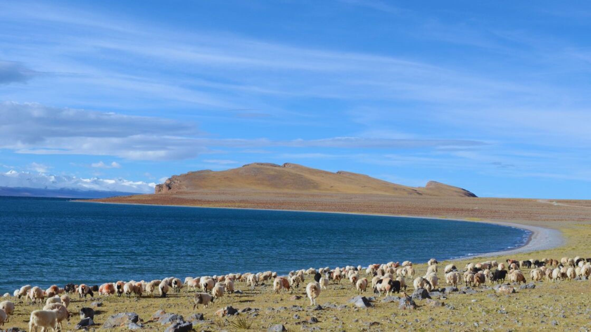 How to Visit Tibet? Tibet Group Tour