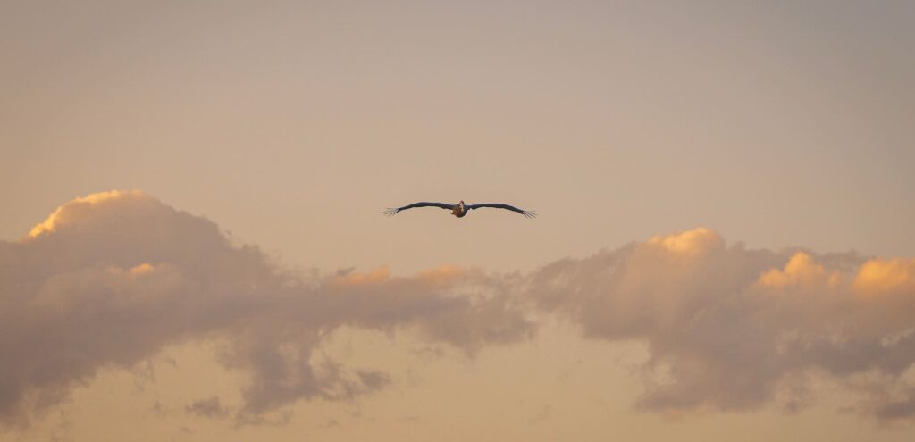 Sky Burial Ritual in Tibet