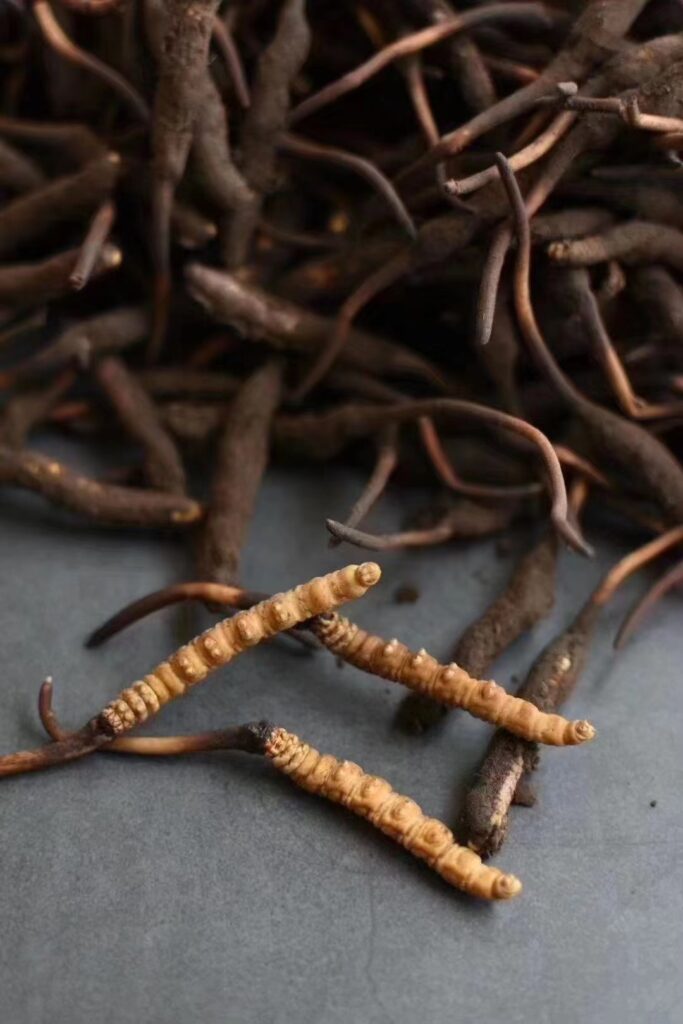 Tibetan Medicinal Herb