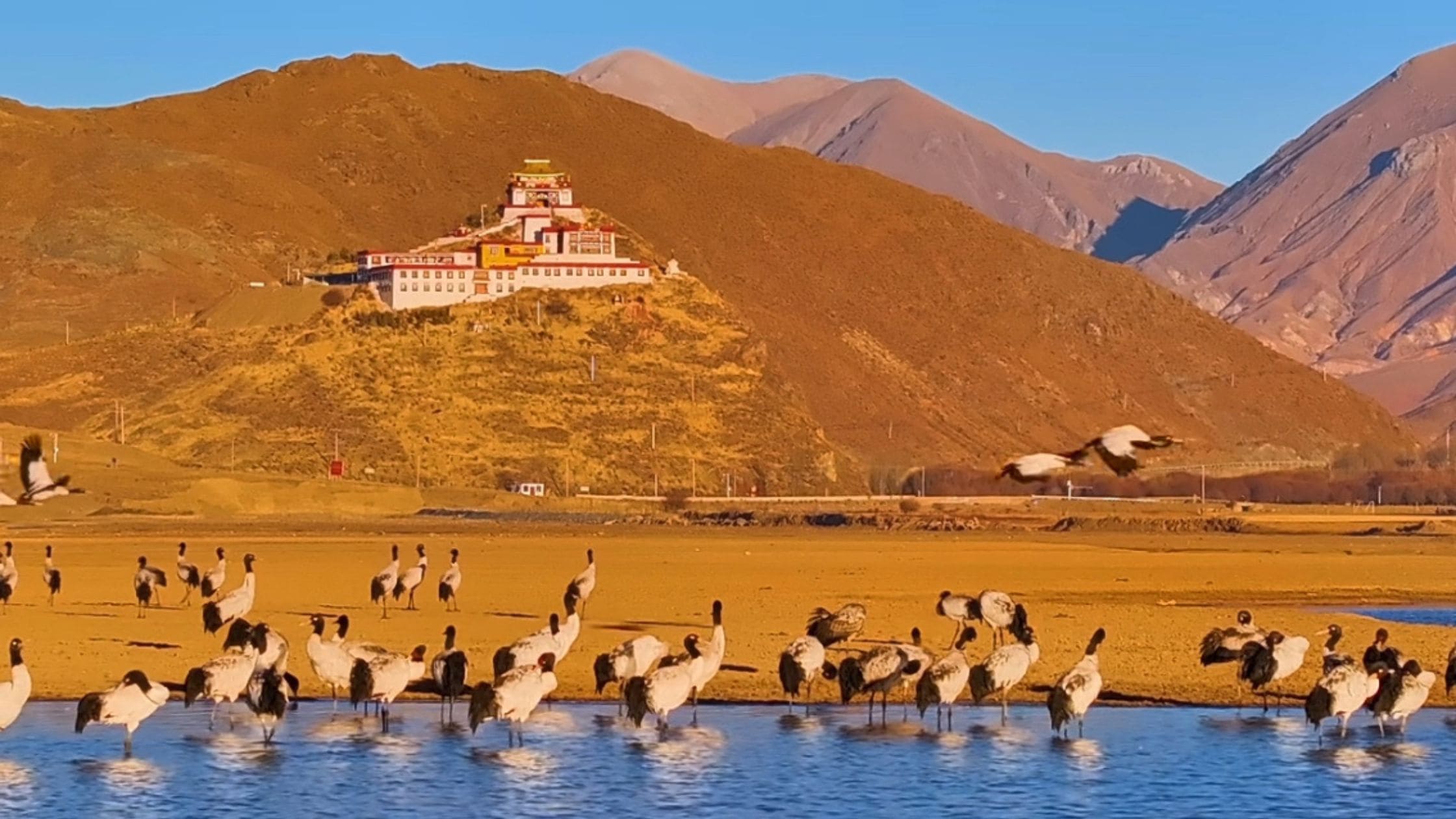 Tibet travel destination