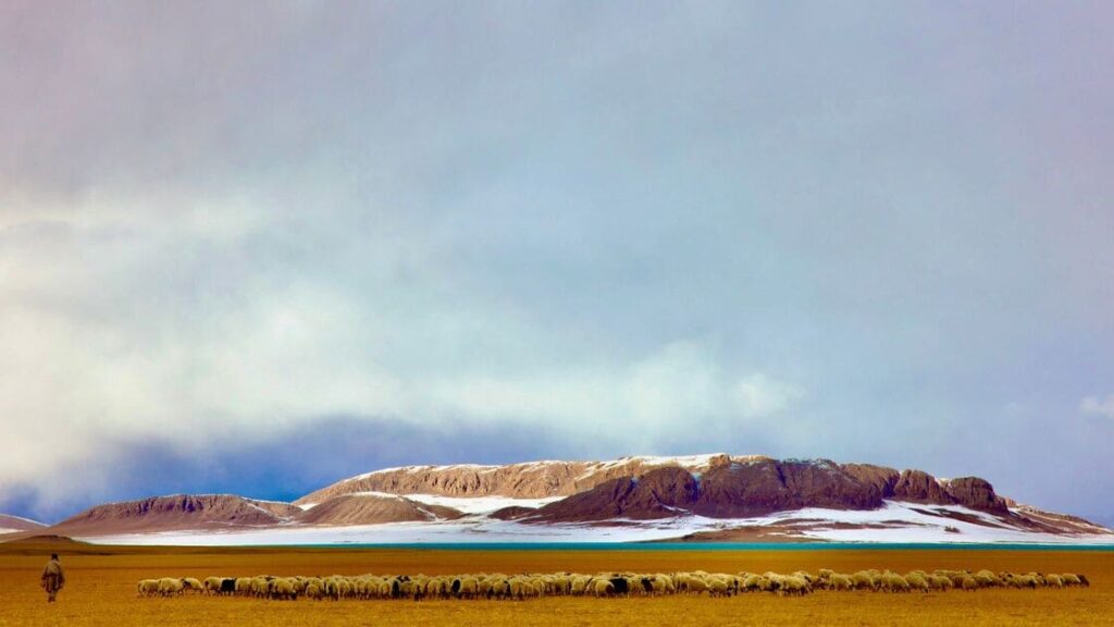 Tibet railway tour